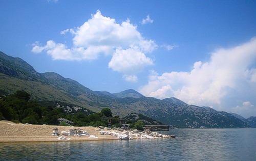Пляж на берегу Скадарского озера в Черногории. Фото: Яндекс.Фотки, fotamar